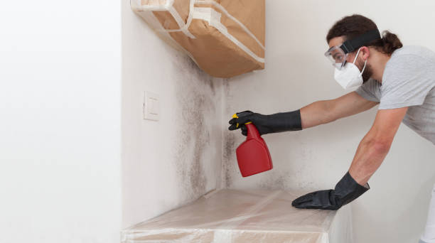 Professional Attic Mold Remediation technician working in Micro, NC