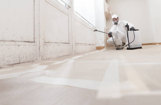 24/7 Emergency Attic Mold Remediation experts in Micro, NC