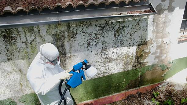 Top rated local Attic Mold Remediation specialists in Micro, NC
